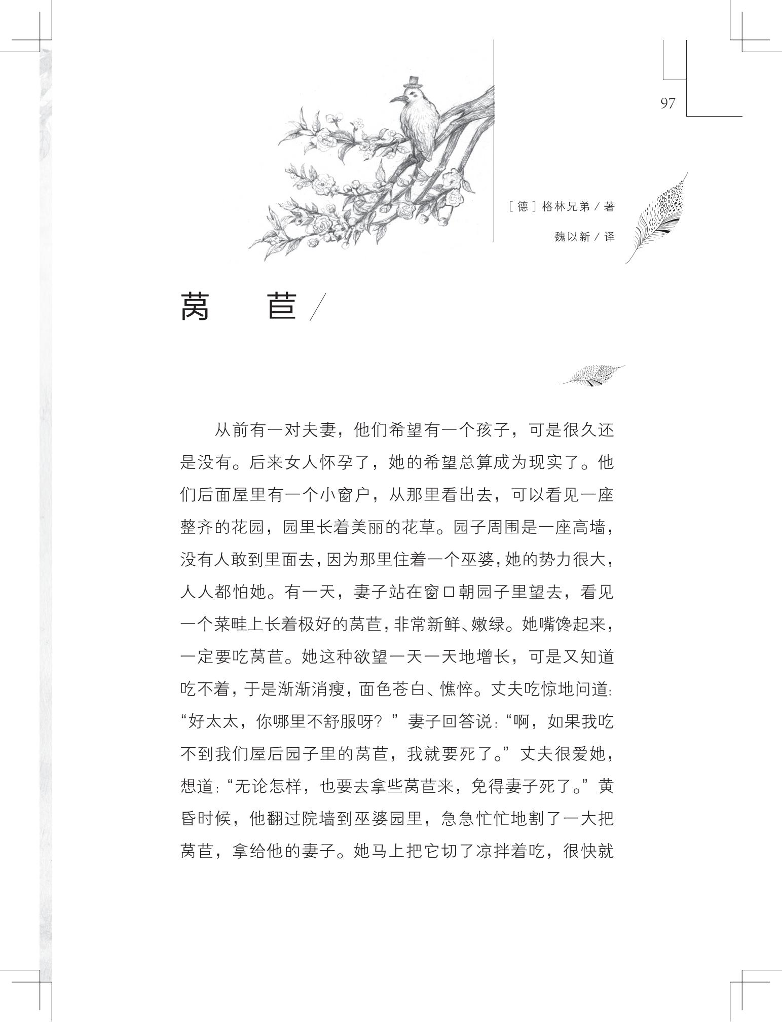 《做在大胡子里的鸟窝 》